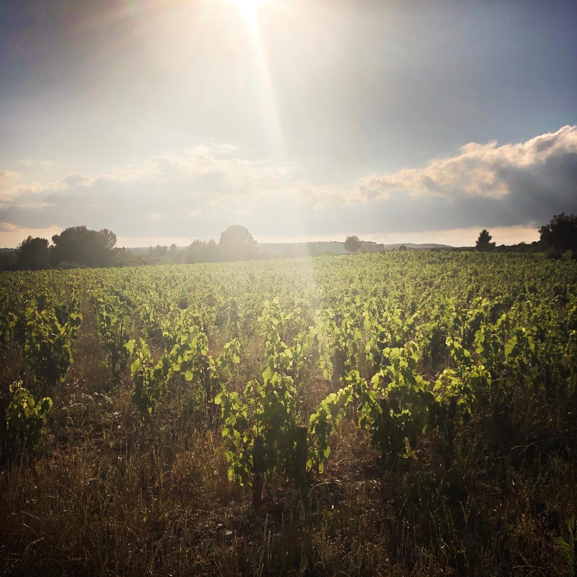 Aigne  B&B Vigne Vierge מראה חיצוני תמונה